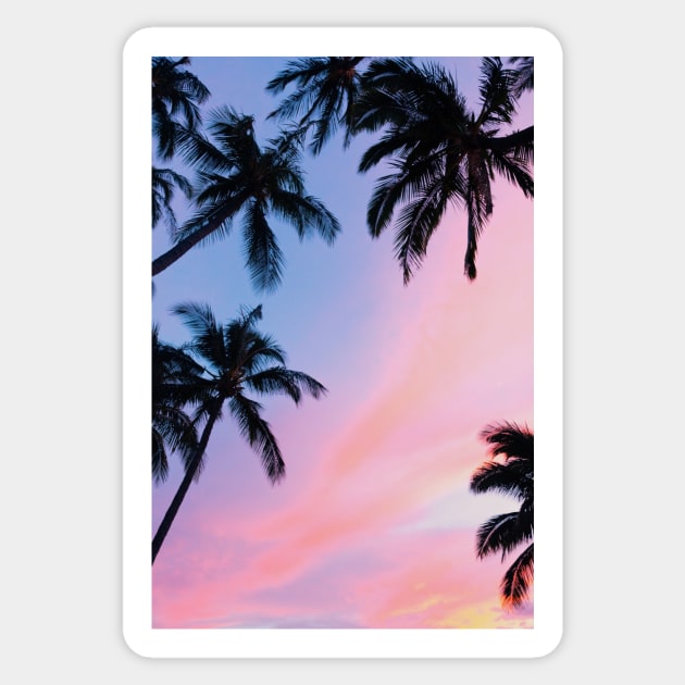 Sunset Palm Trees Sticker by NewburyBoutique